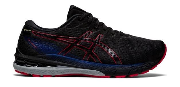 Asics GT-2000 10 G-TX 43.5 - main photo