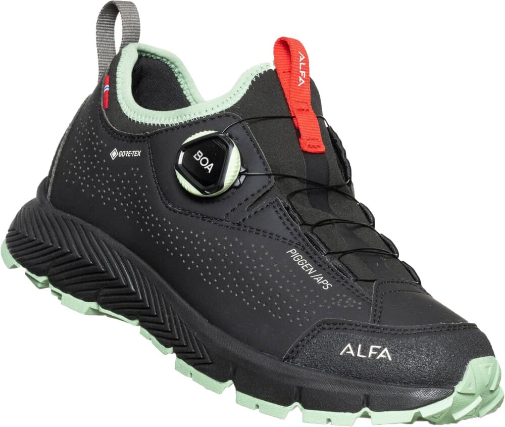 Alfa Piggen A/p/s Gtx Dame Black 38 - main photo
