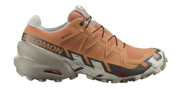 Salomon Speedcross 6 GTX 36 2/3 - main photo