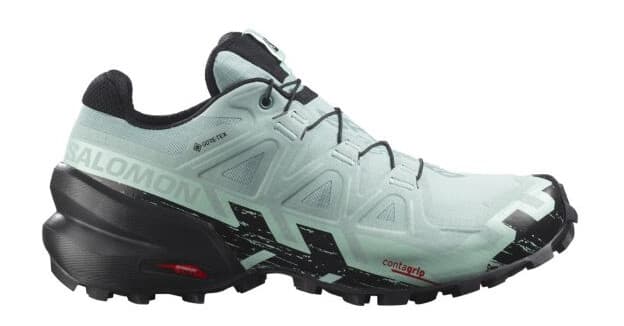 Salomon Speedcross 6 GTX 42 - main photo