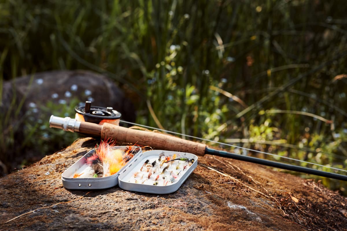 hvordan velge riktig fiskestang: fiskestang og flåter