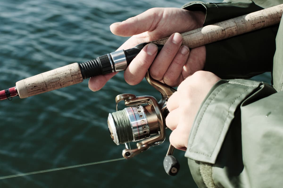 hvordan velge riktig fiskestang: fiskestang