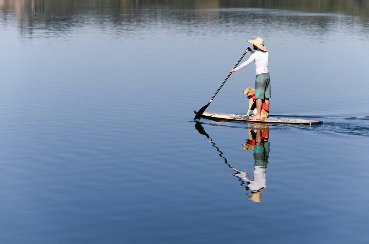 hvordan velge rett padleboard: mann med hund på supboard