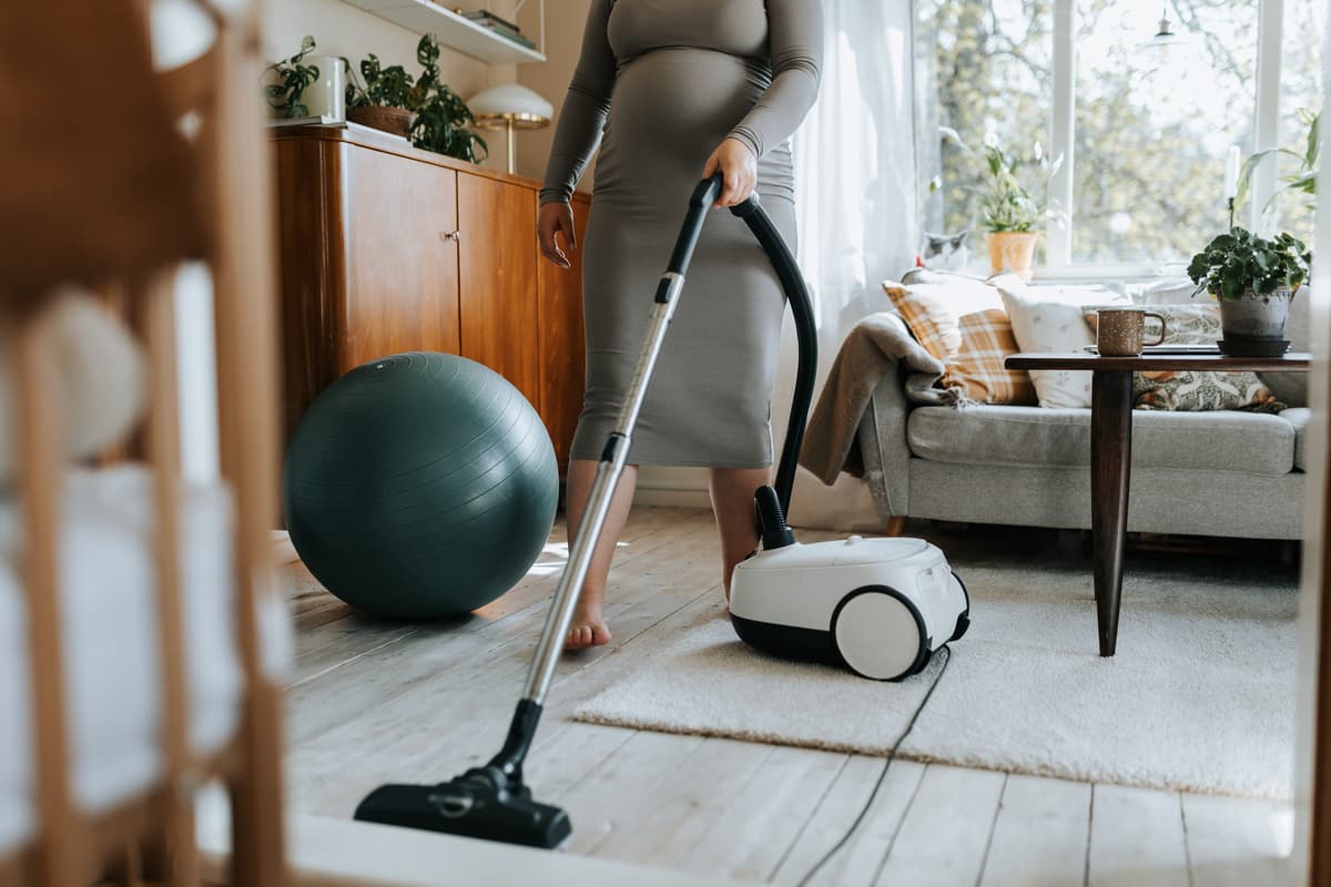 hvordan velge støvsuger: elektrisk støvsuger