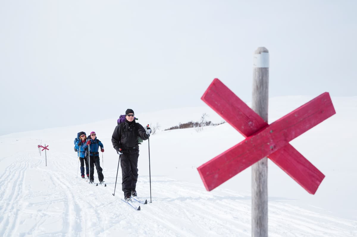 hvordan velge skøyteski: en gruppe mennesker som står på langrenn