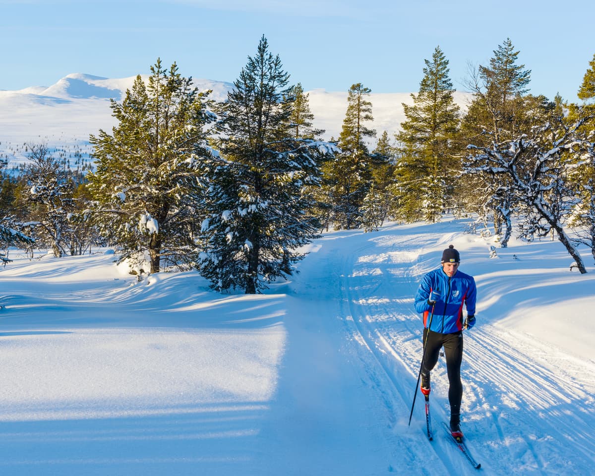 hvordan velge skøyteski: en mann på langrennsski