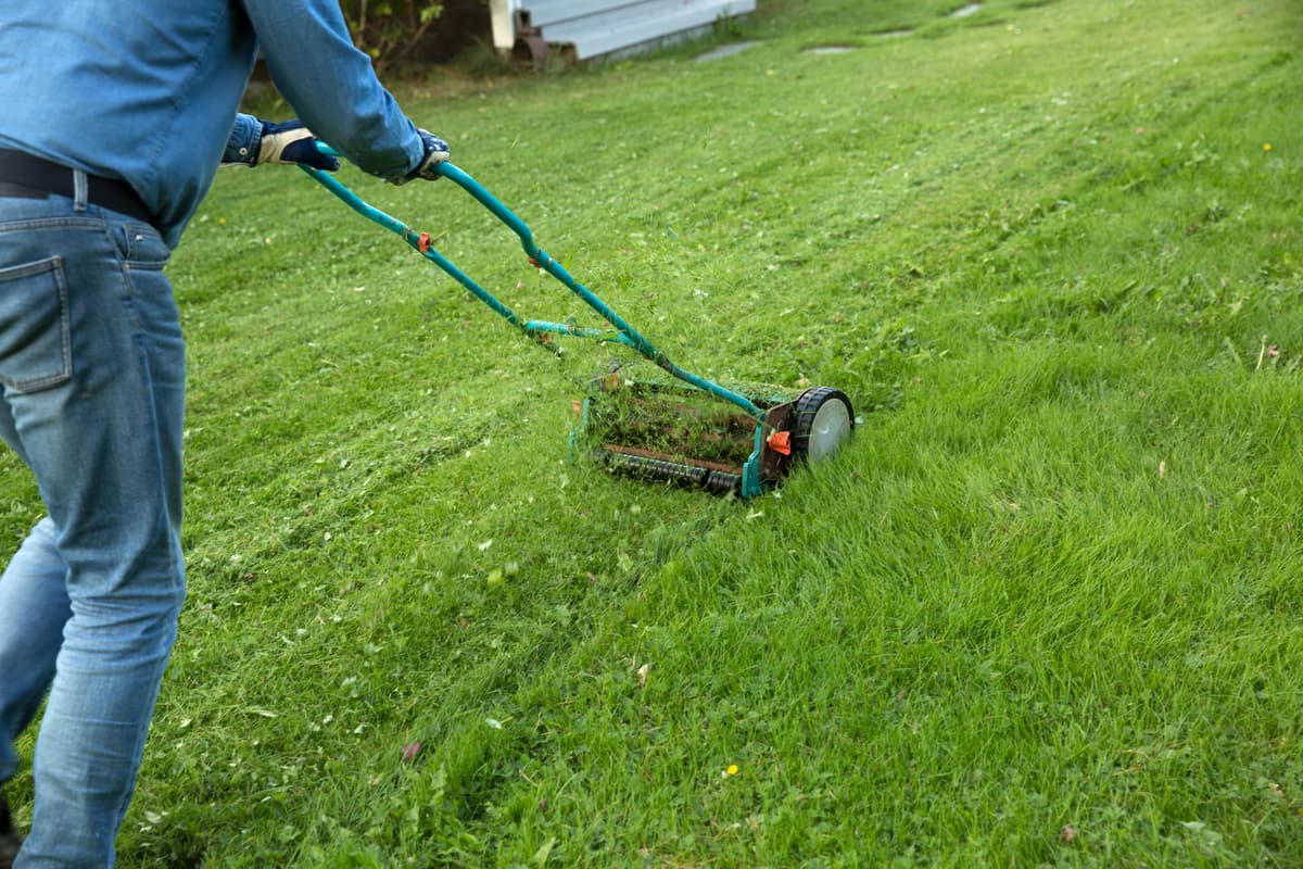 hvordan velge rett gressklipper: gressklipper uten strøm