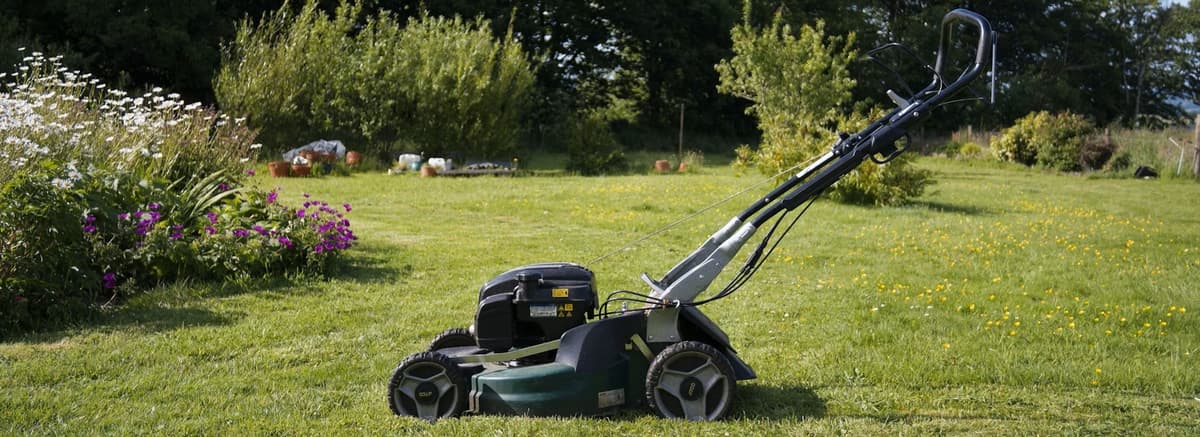 rengjøre gressklipper: gressklipper