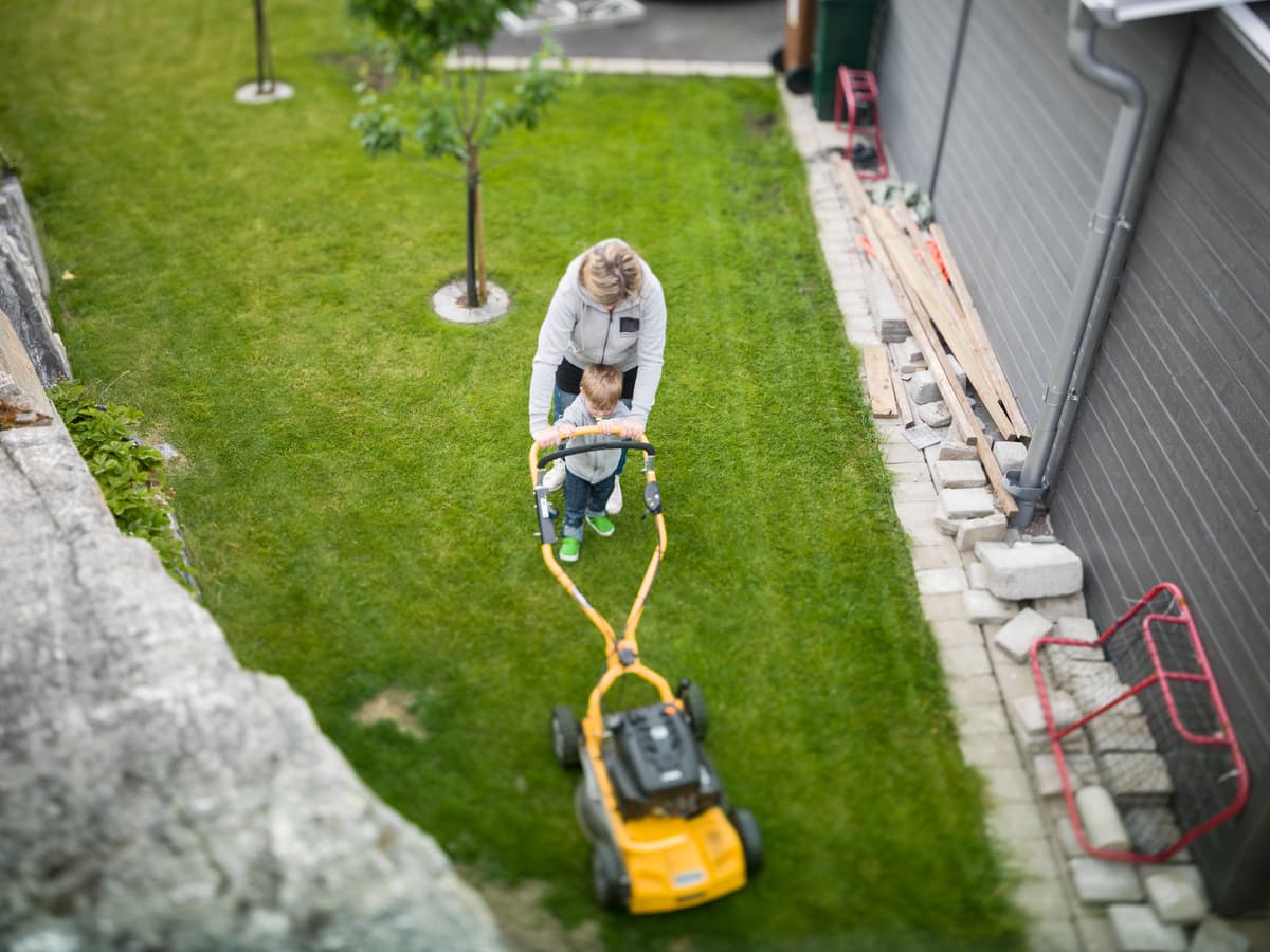 hvordan velge rett gressklipper: klippe plenen