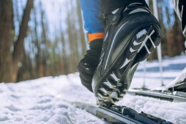 hvordan velge skisko: langrennsski