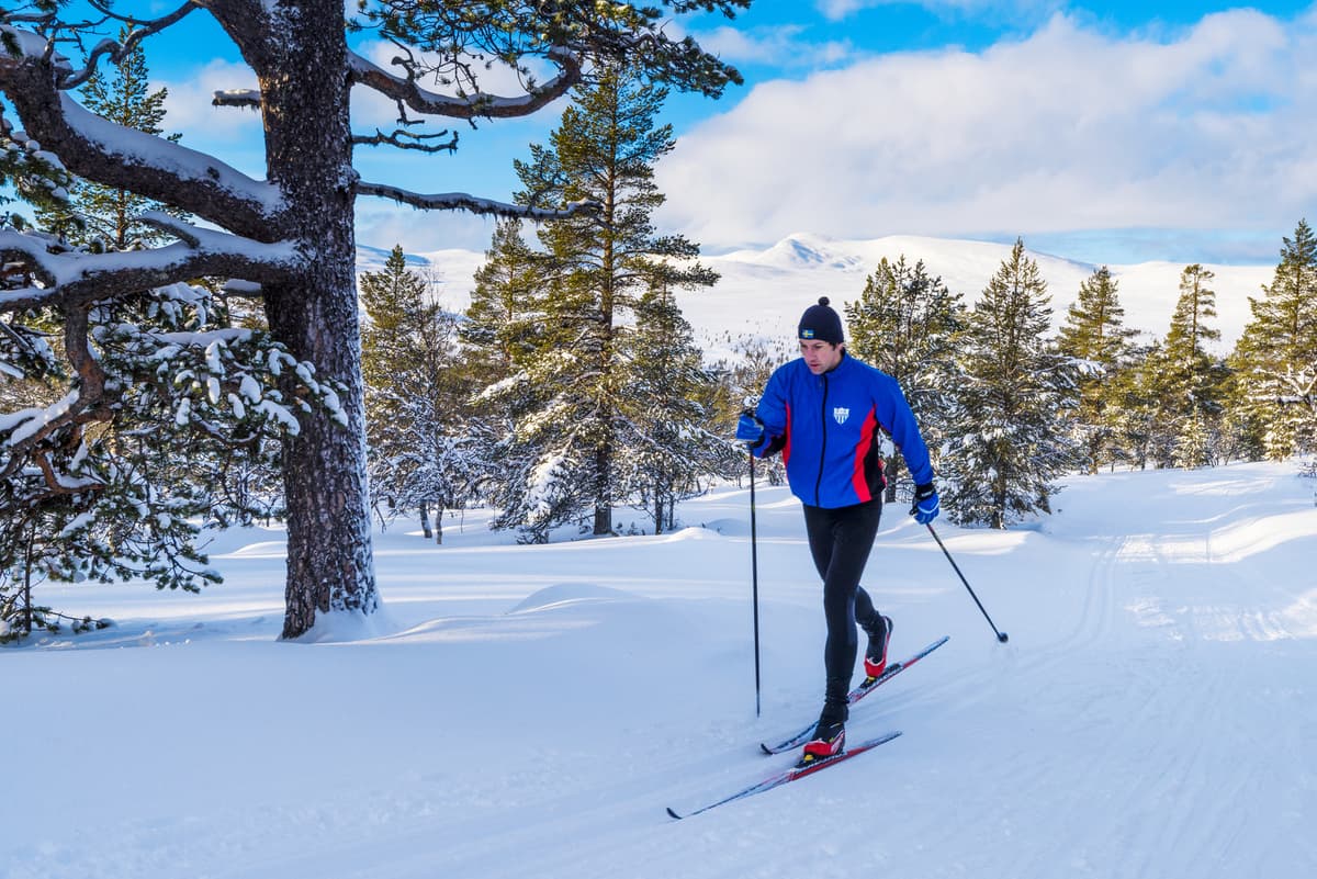 hvordan velge riktig langrennski: mann på langrennski