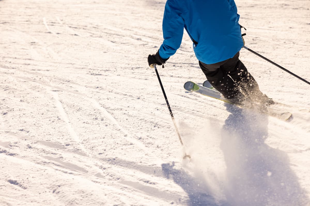 hvordan velge alpinski: på ski nedoverbakke
