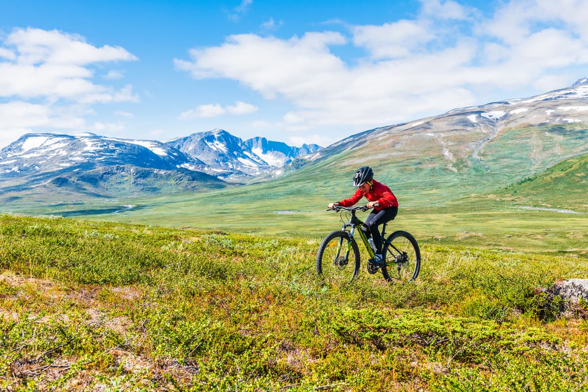 hvordan velge terrengsykkel: terrengsykling