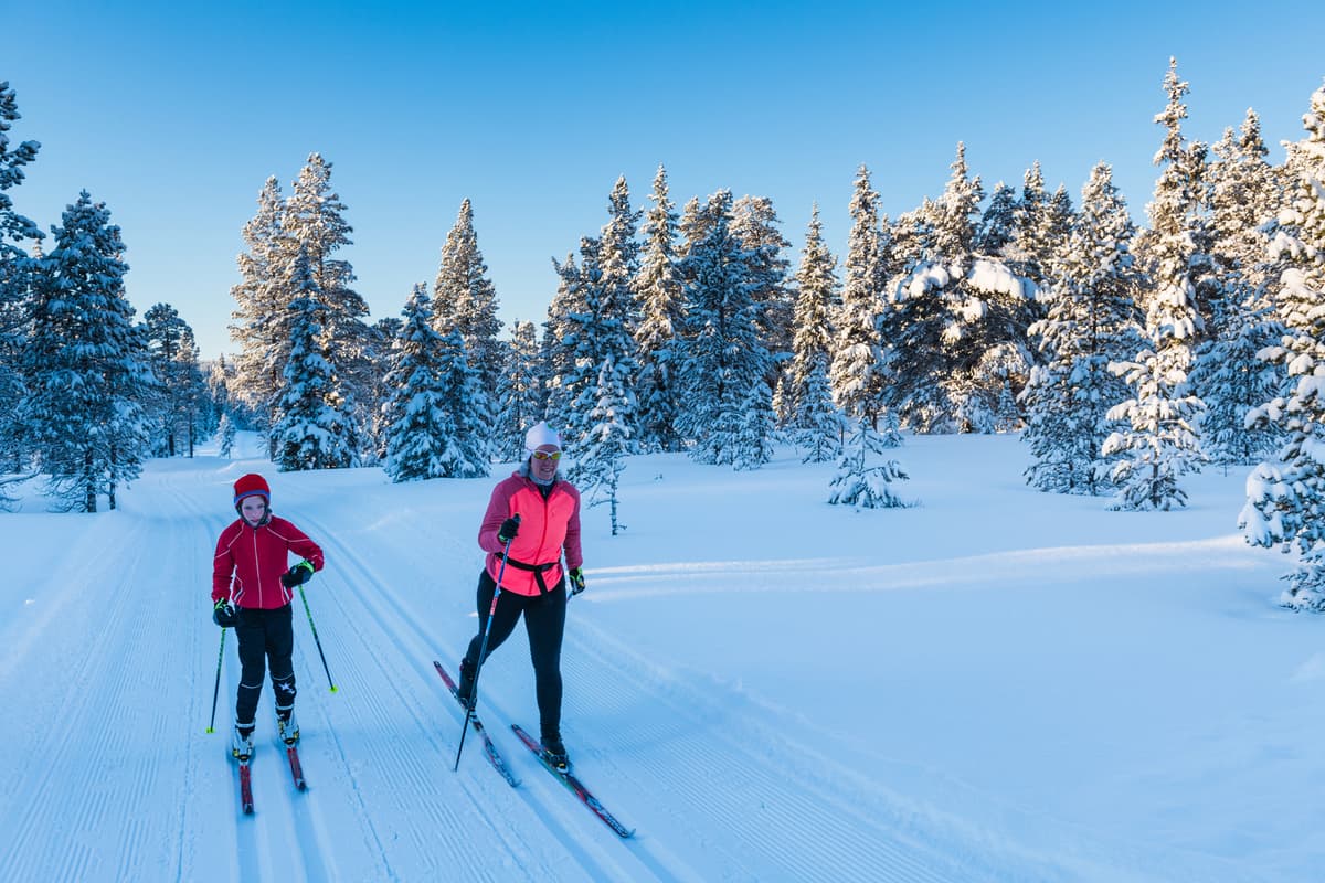 hvordan velge riktig langrennski: to personer på langrenn i skogen