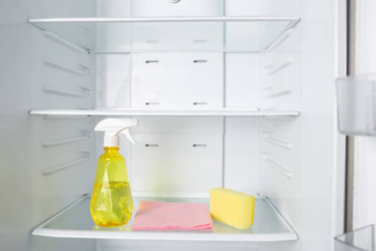 vaske kjøleskap: rengjøringsprodukter